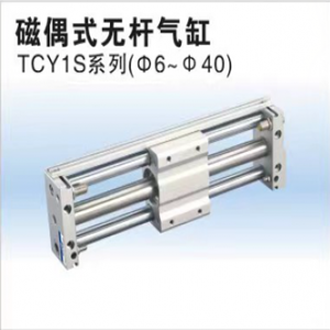 TCY1S磁偶式無(wú)桿氣缸