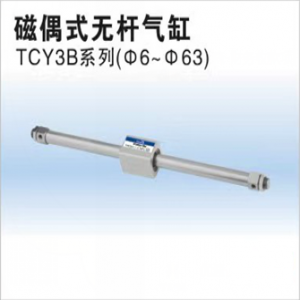 TCY3B系列磁偶式無(wú)桿氣缸